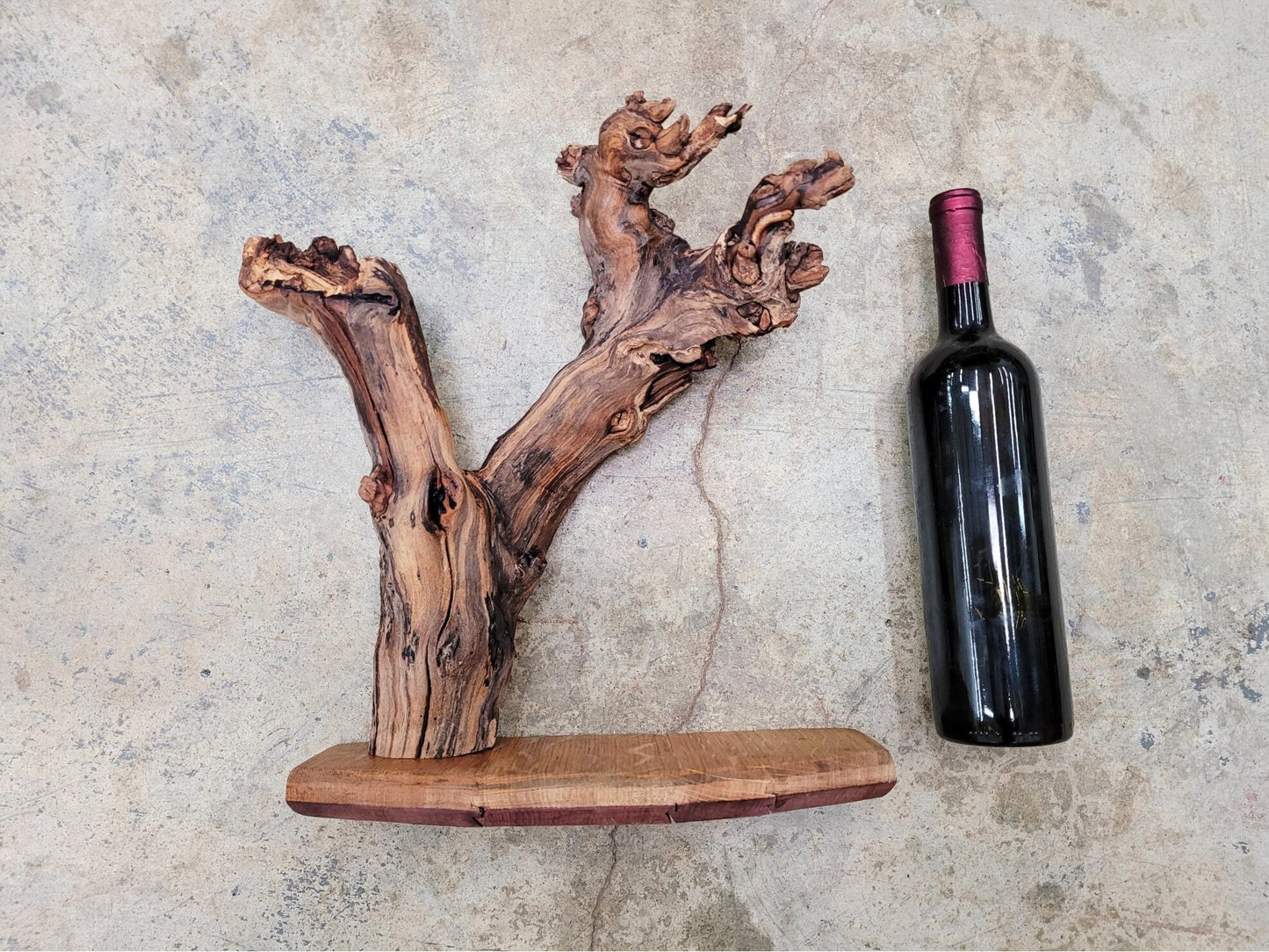 Justin Winery RARE Cabernet Grapevine Vine Art planted by Justin himself 100% Recycled 120222-1