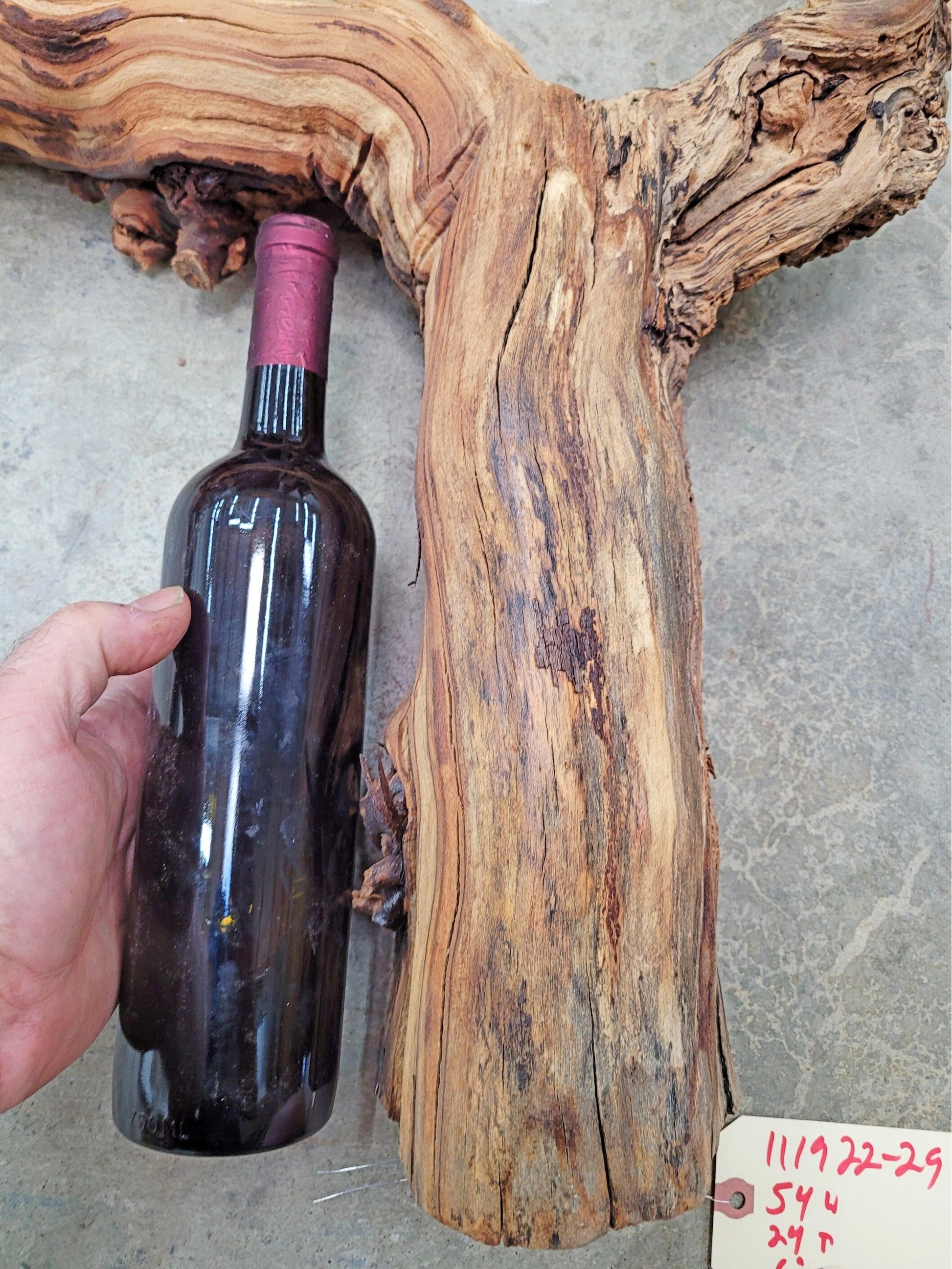 Hendry Winery retired Petit Verdot Grape Vine Art - 100% Reclaimed + Ready to Ship! 111922-29