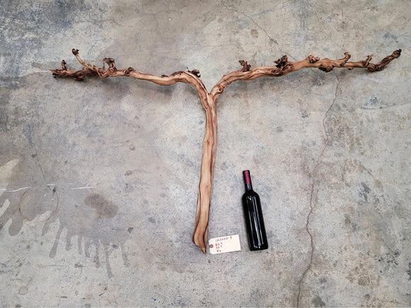Domaine Carnerous Pinot Noir Grape Vine Art from Napa 100% Recycled + Ready to Ship! 120222-9