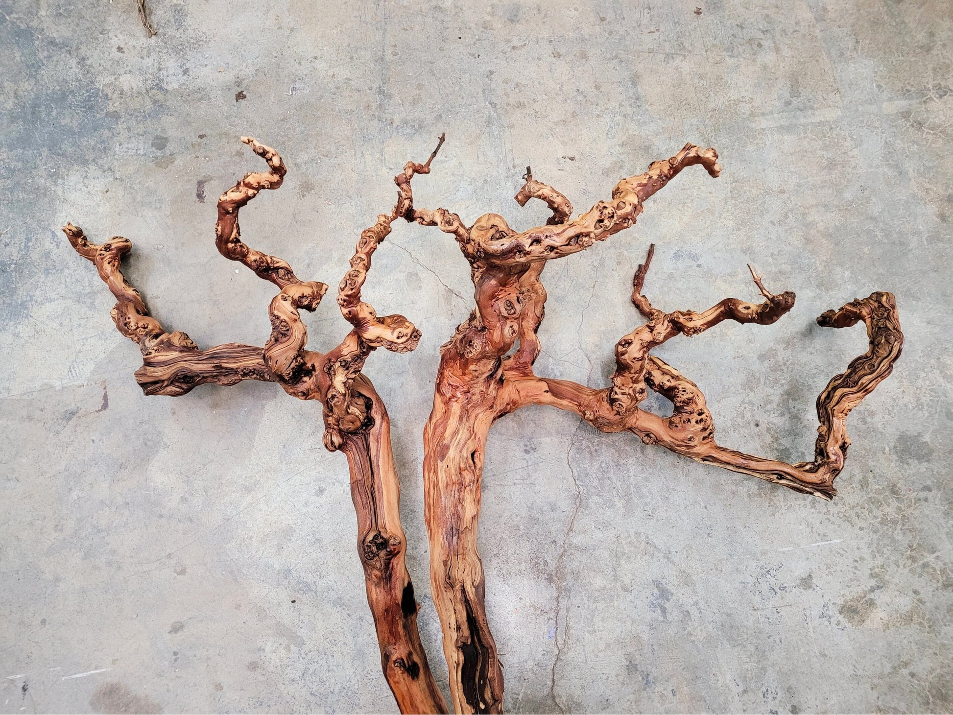 RARE "The Twins" Huge Grape Vine Art from retired Napa Cabernet grapevine 100% Reclaimed + ready to ship! 112922-1