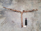 Domaine Carnerous Pinot Noir Grape Vine Art from Napa 100% Recycled + Ready to Ship! 120222-9