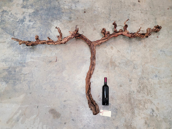 Sea Smoke Winery 10 Point Pinot Noir Grape Vine Art 100% Recycled + Ready to Ship! 041523-7