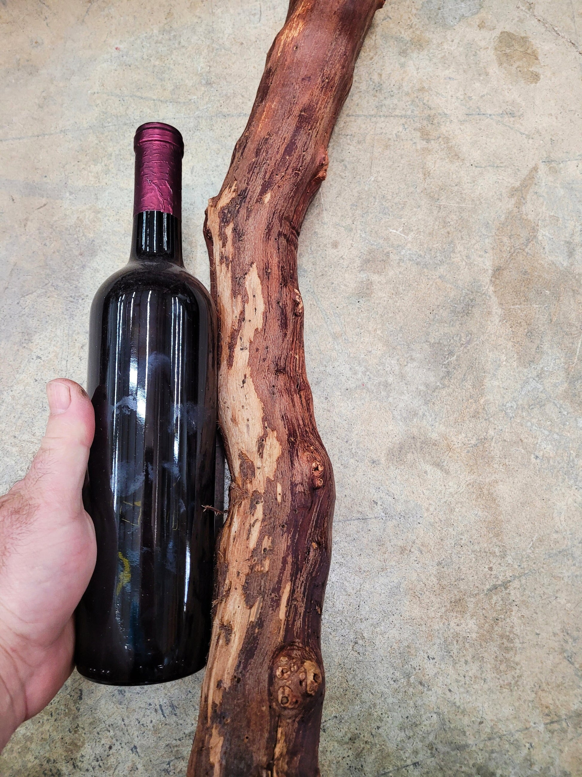 Firestone Winery Cabernet Grape Vine Art from Santa Barbara 100% Recycled + Ready to Ship! 041523-2