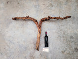 J Lohr Winery Cabernet Grape Vine Art 100% Recycled + Ready to Ship! 123222-2