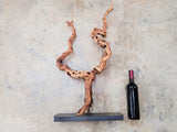 Turley Winery Retired Zinfandel Grape Vine Art 100% Reclaimed + Ready to Ship!! 071523-1
