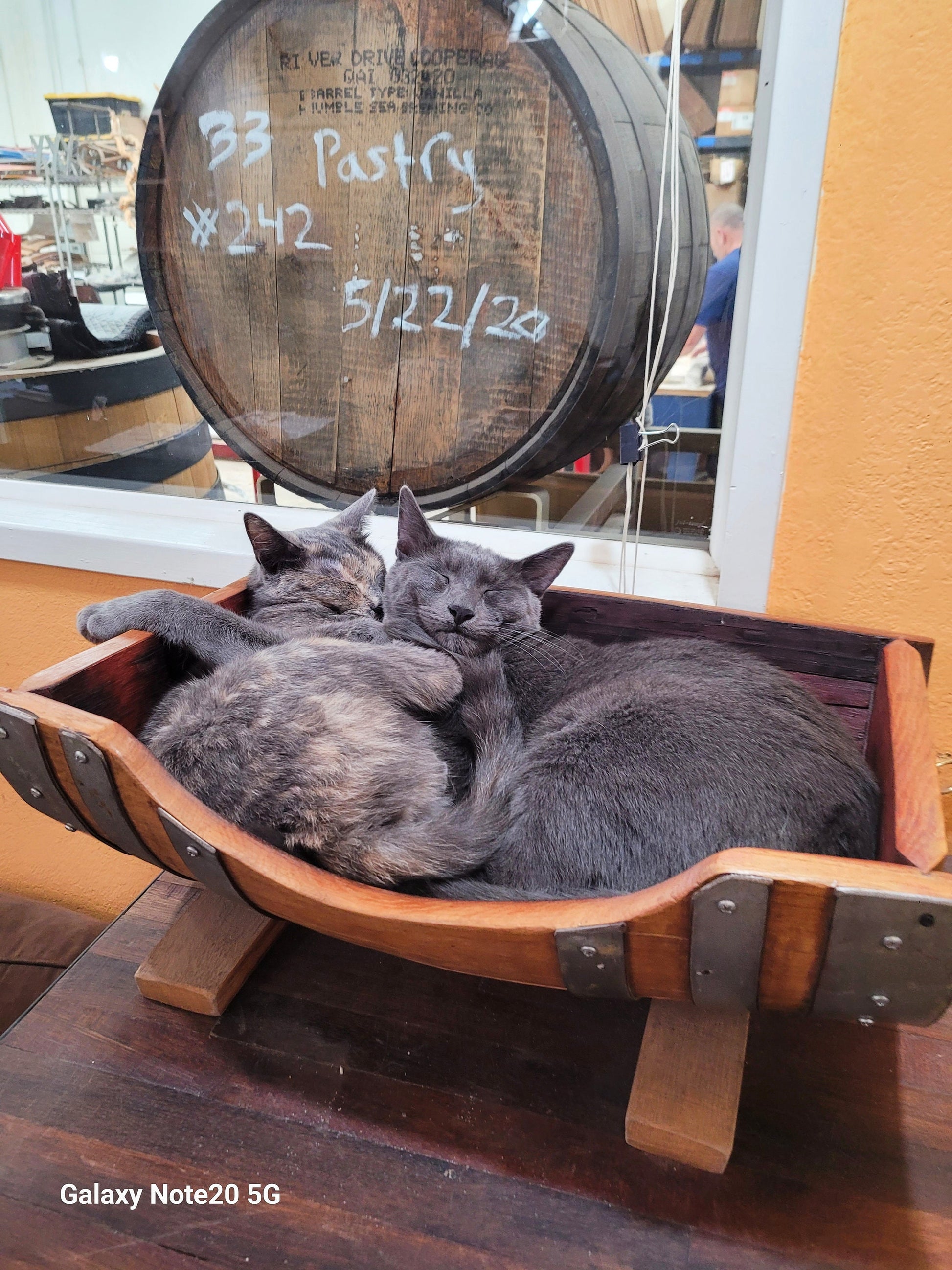 Wine Barrel Pet Bed - Dormio - Made from retired CA wine barrels. 100% Recycled!