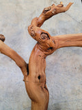 Grape Vine Art From Domaine Carnerous made from retired Napa Pinot Noir grapevine 100% Recycled + Ready to Ship! 101823-4