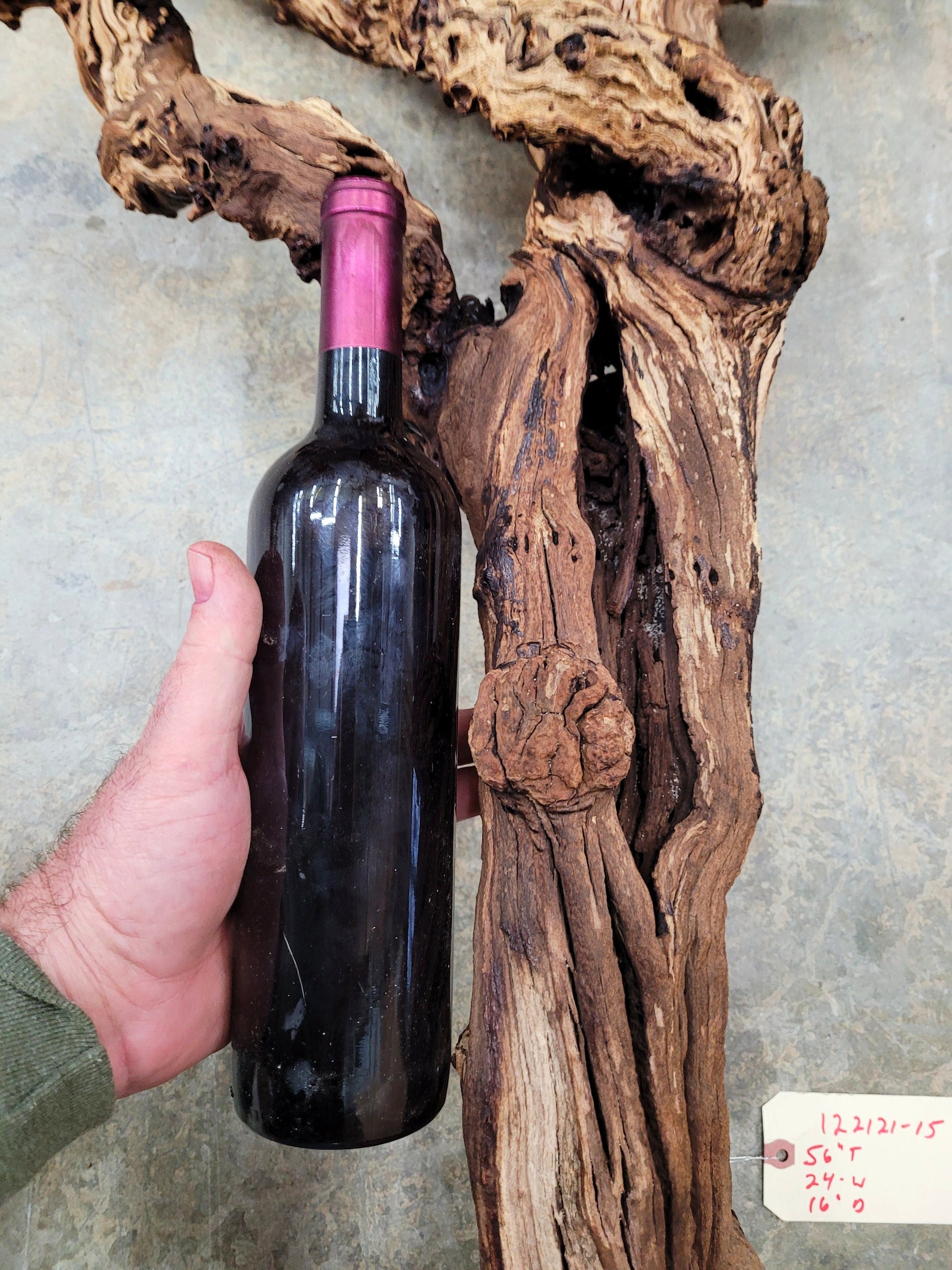 Silver Oak Vineyard Zinfandel Grape Vine Art From Napa 100% Recycled + Ready to Ship! 122121-15