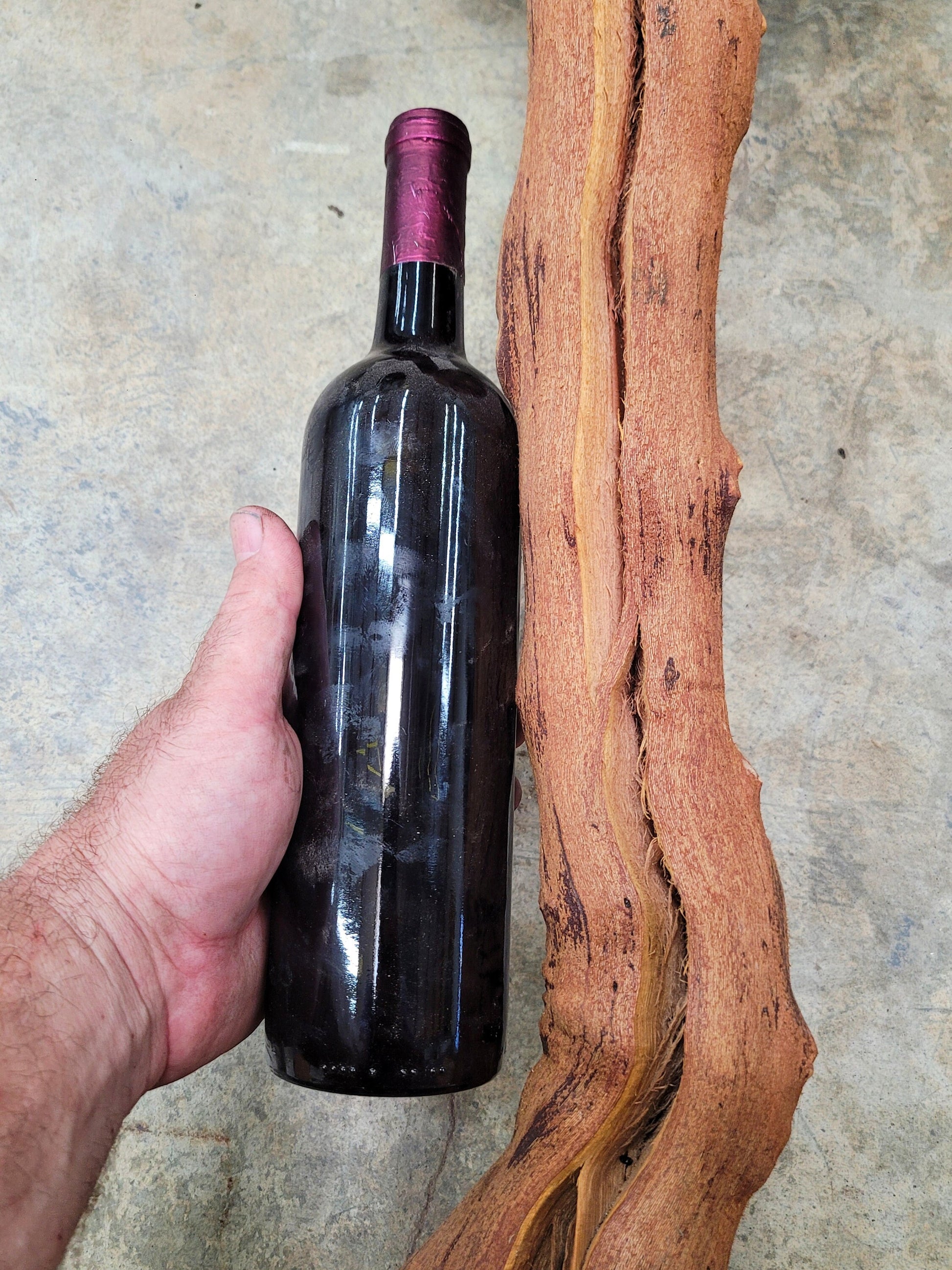 Turley Winery Old Vine Zinfandel Grapevine Art 100% Reclaimed + Ready to Ship!! 071722-5