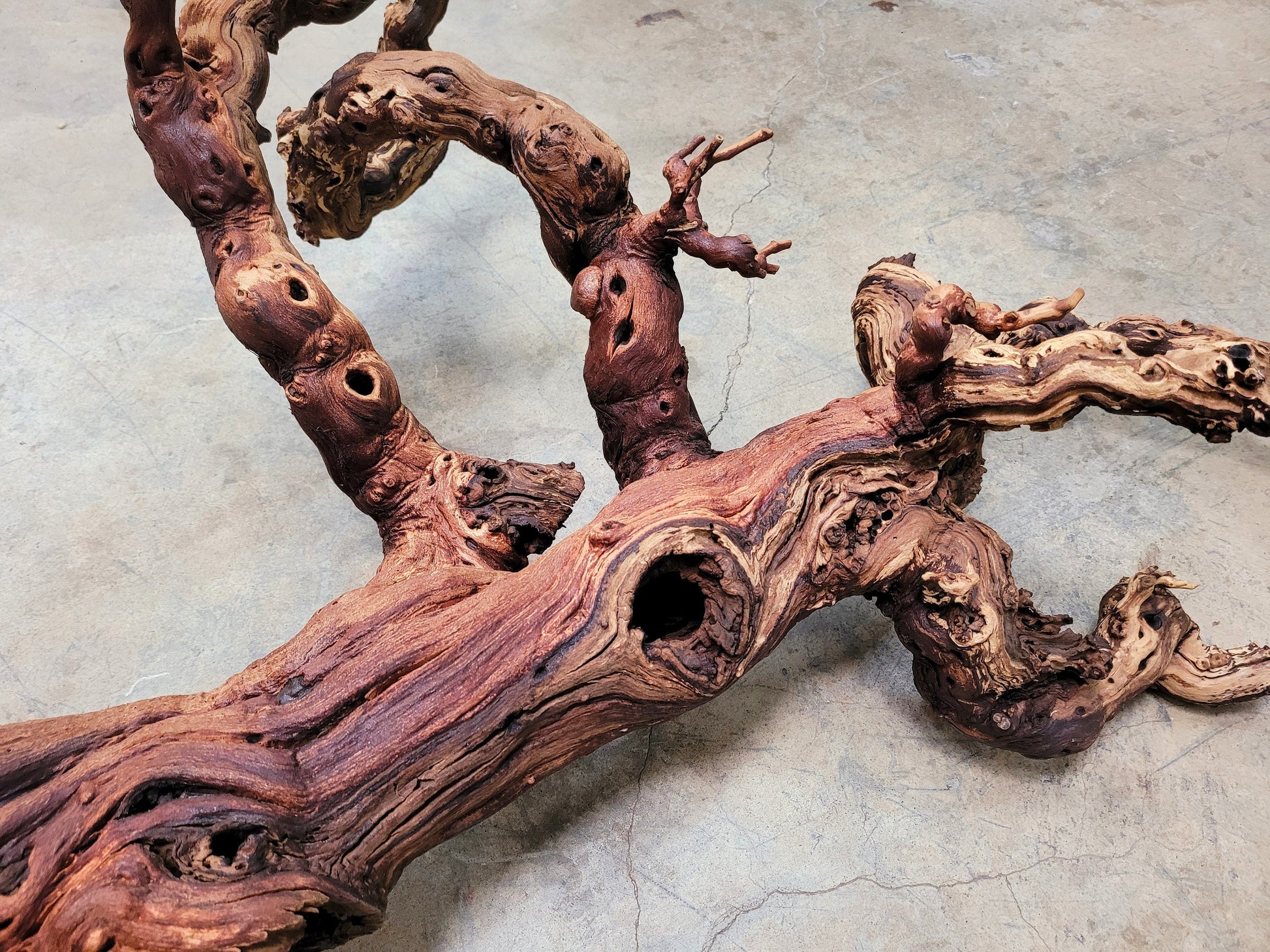121 Year Old Grape Vine Art From Silver Oak Vineyards retired Napa Zinfandel 100% Recycled + Ready to Ship! 122021-8