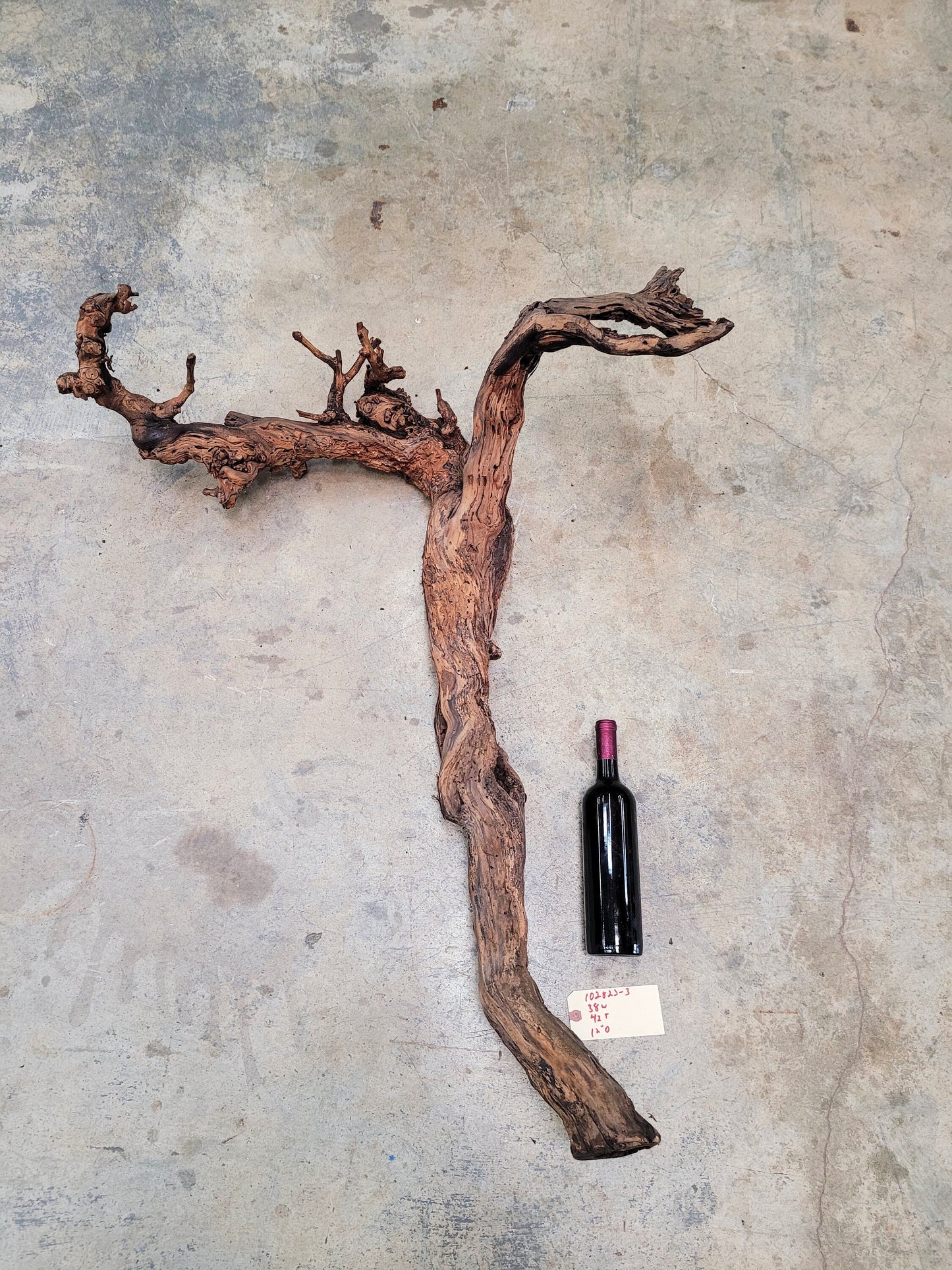 Silver Oak Cabernet Grape Vine Art from Napa 100% Recycled + Ready to Ship! 102823-3