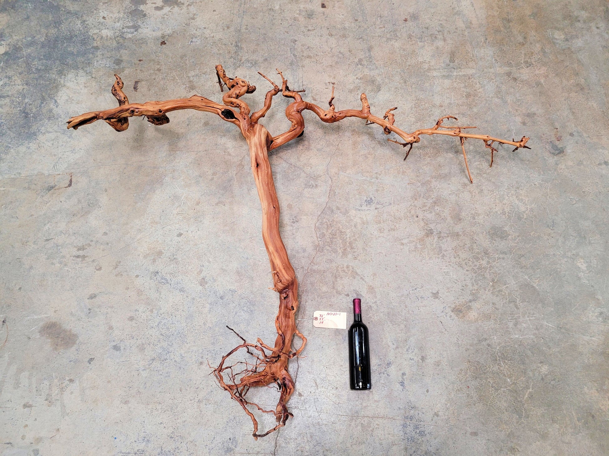 Foxen Canyon Winery Cabernet Grapevine Art from CA 100% Reclaimed! 103123-1