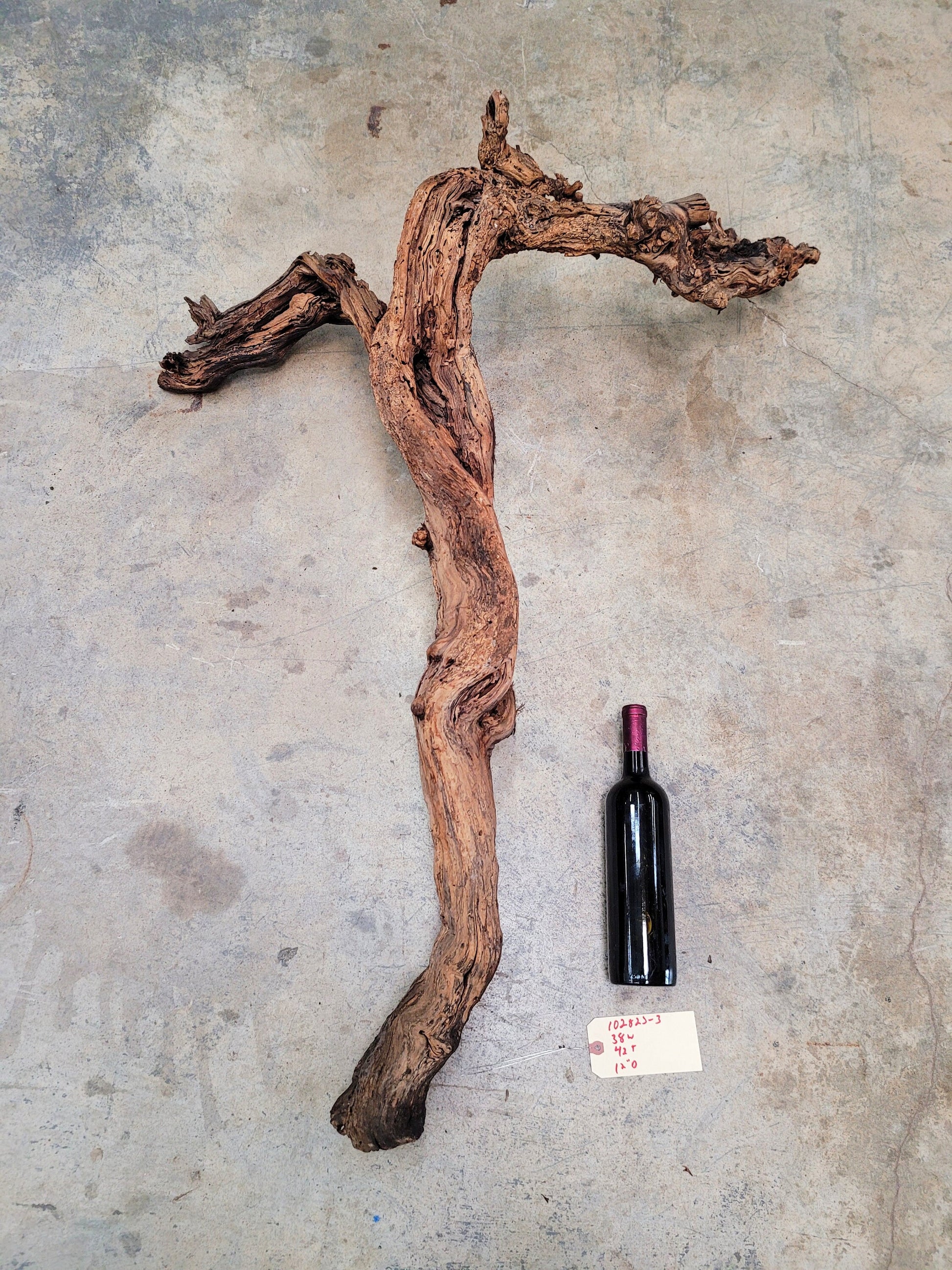 Silver Oak Cabernet Grape Vine Art from Napa 100% Recycled + Ready to Ship! 102823-3