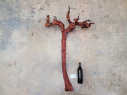 Domaine Carnerous Grape Vine Art From made from retired Napa Pinot Noir grapevine 100% Recycled + Ready to Ship! 081616-16
