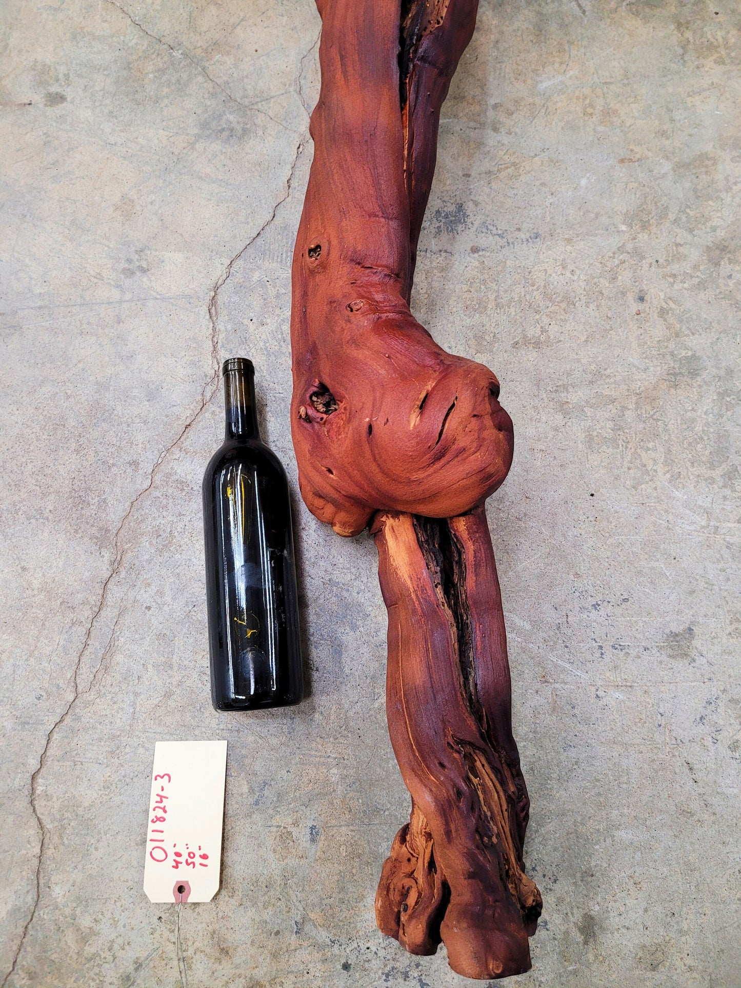 Domaine Carneros Grape Vine Art From made from retired Napa Pinot Noir grapevine 100% Recycled + Ready to Ship! 011824-3